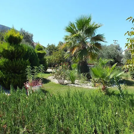 Everest Aparthotel Oludeniz