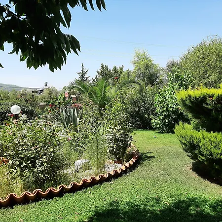 Everest Aparthotel Oludeniz