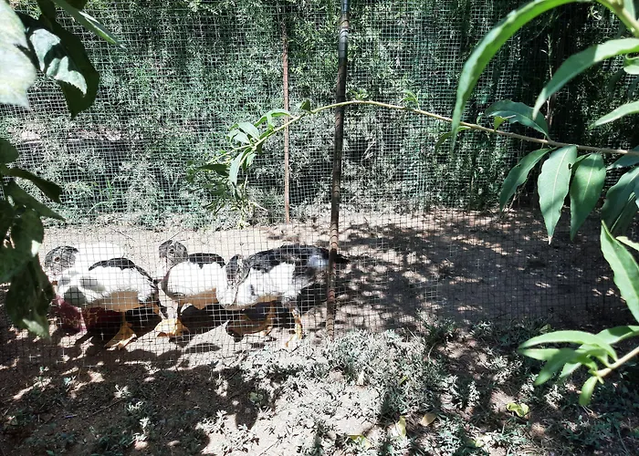 Apart Otel Everest Ölüdeniz